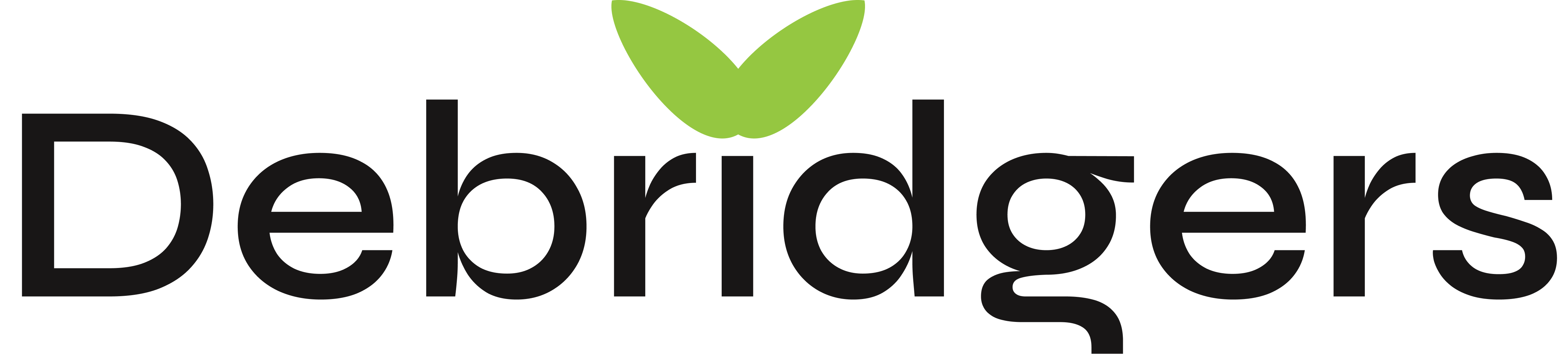 Debridgers Logo